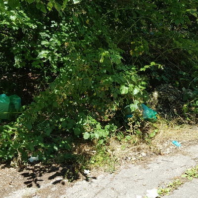 200727 M&uuml;llentsorgung3
