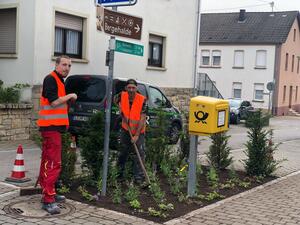 Staudenbeet1 - Adrienne Blaes
