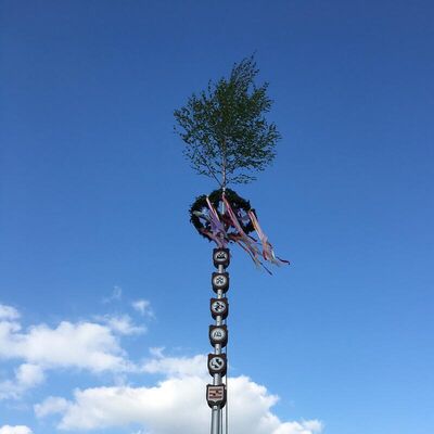 Maifest - Maibaum