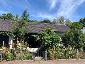 Vorgarten Tannenweg