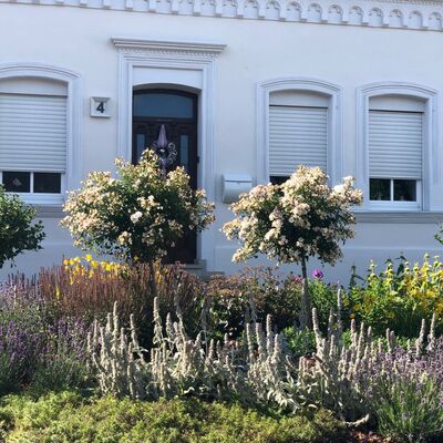 Vorgarten Kronenstra&szlig;e