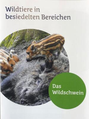 Wildschwein