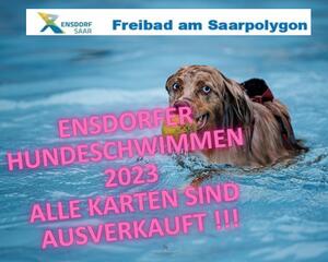 Hundeschwimmen 2023 ausverkauft