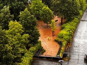 Hochwasser Park 2