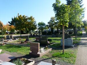 Friedhof