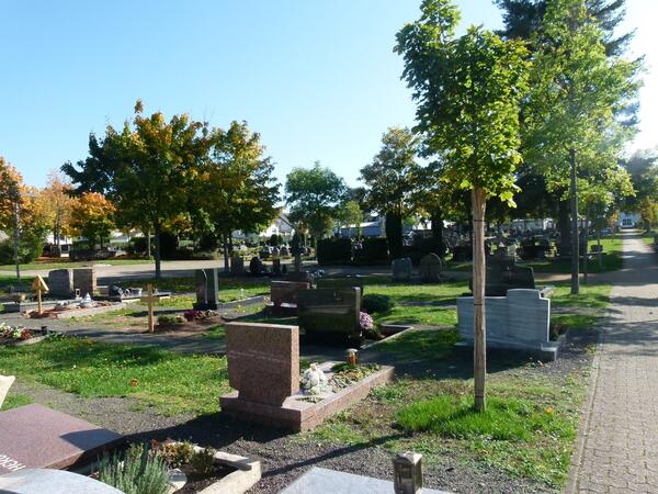 Friedhof