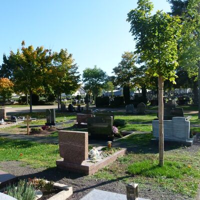 Friedhof