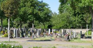 Friedhof