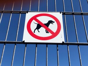 Hundeverbot Sportplatz