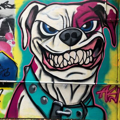 Mauer5