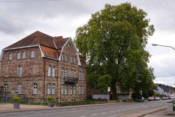 ajosefdernbecher04031954fotowettbewerb