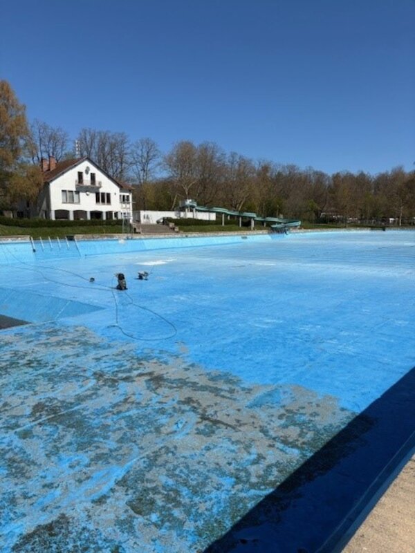 schwimmbecken