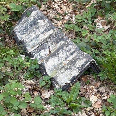llegale M&uuml;llablagerungen im Gemeindegebiet