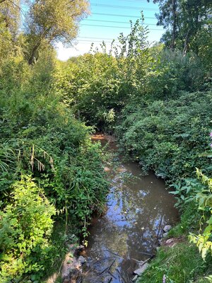 Wasser Ensdorfer Wald 2
