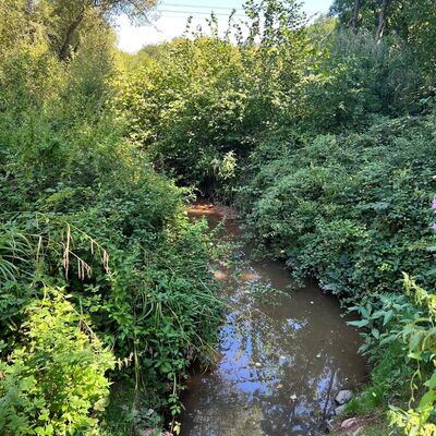Wasser Ensdorfer Wald 2