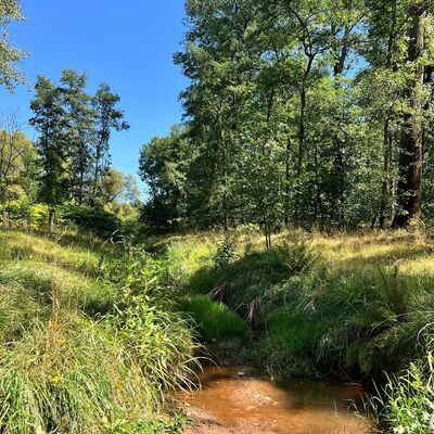 Wasser Ensdorfer Wald 3