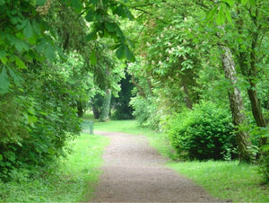 Blick in den Park
